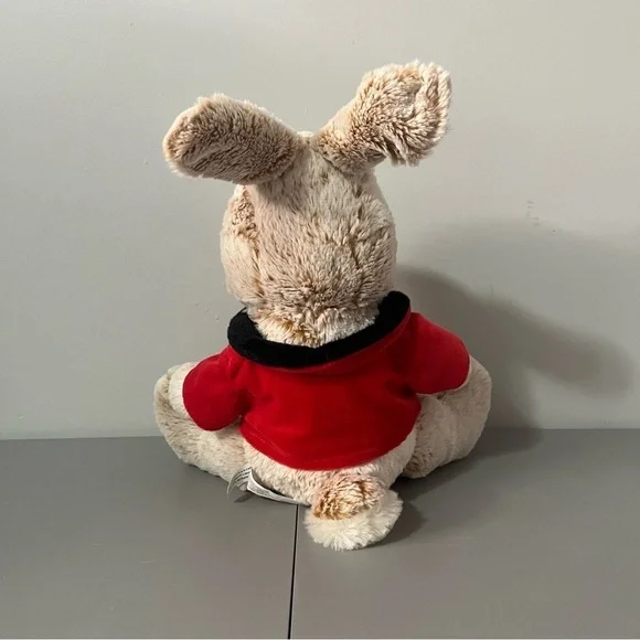 3/25$(Mix) Peter Rabbit With Red Jacket 16” - Picture 3 of 11